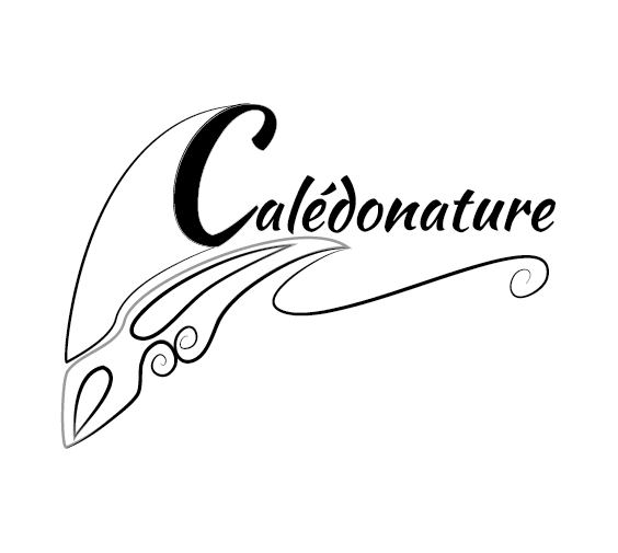 Logo Monochrome noir