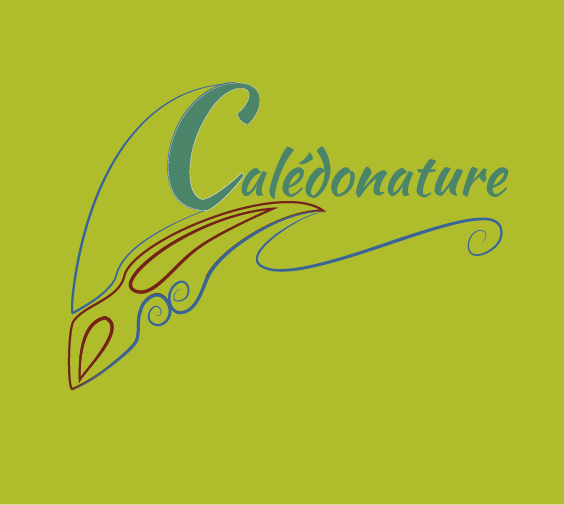 charte graphique nouveau logo calédonature_LOGO ORIGINAL FOND COULEUR-15