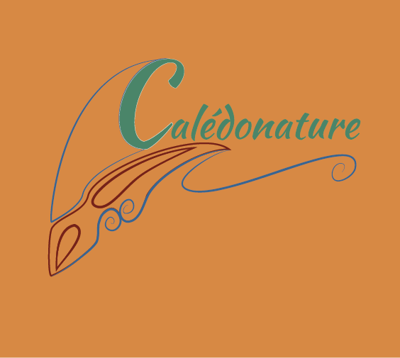 Logo original - Fond 4