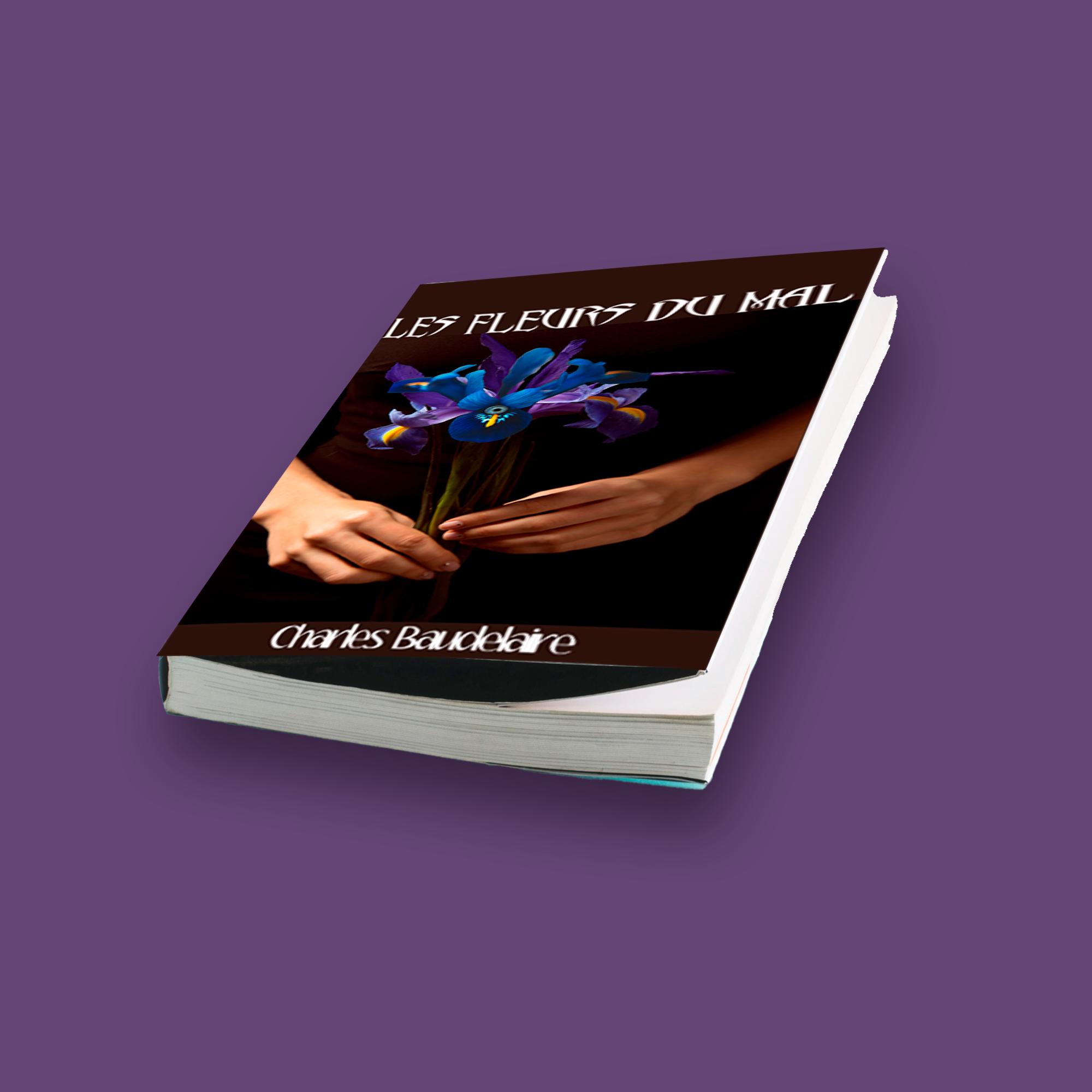 illustration-livre-1