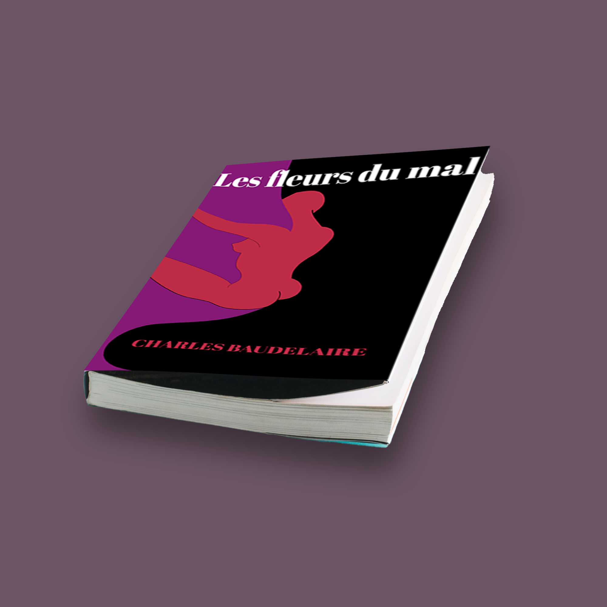 illustration-livre-2