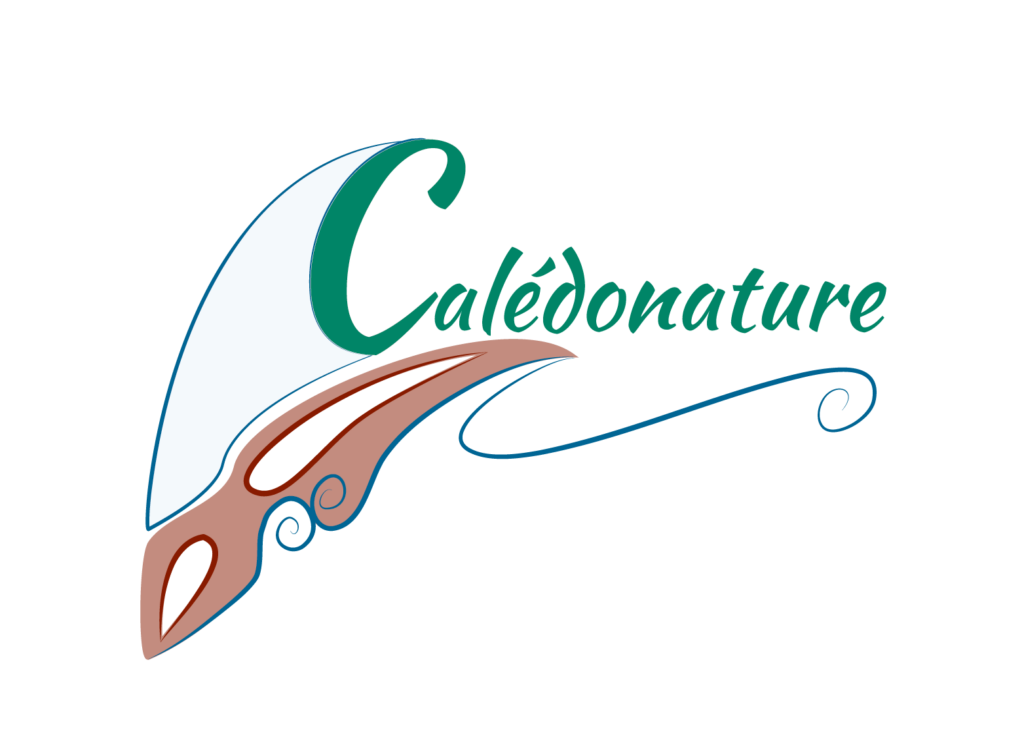 logo---Variante-1