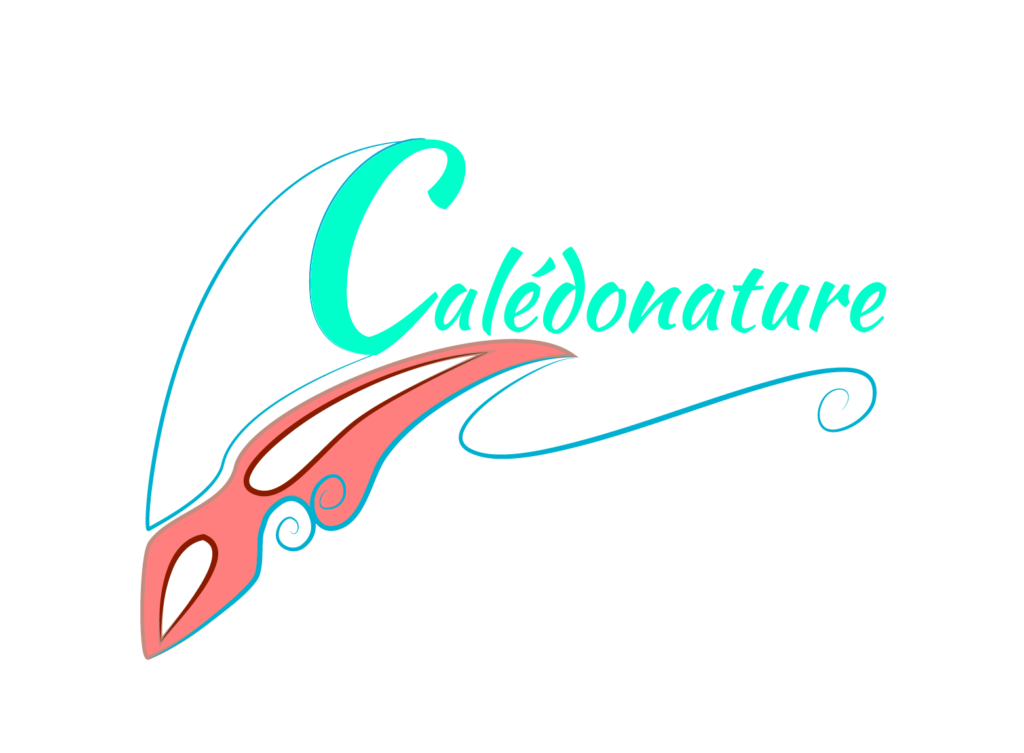 logo-variante-1